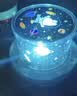 万火星空投影灯小夜灯满天星卧室新款儿童投影仪氛围全屋女孩生日礼物 实拍图