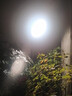 精忠报国植物补光灯大棚蔬菜花卉led室内绿植专用仿太阳全光谱园林生长灯 【仿太阳全光谱补光灯】白-30W 配3米灯头线 实拍图
