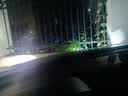 科浦仕适用日产轩逸led大灯泡改装汽车灯泡远近一体远近光灯led灯泡 9K轩逸19-22款【远光】2支装 实拍图