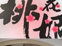 东阿阿胶桃花姬阿胶糕160g红枣枸杞味端午节礼盒 送长辈礼物女营养品礼品 实拍图