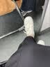 回力女鞋秋季新款板鞋潮流百搭厚底小白鞋女J576Z 米/白丨轻量缓震 35 实拍图
