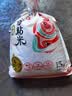 十月稻田 油粘米 银牙香粘米 10斤（南方大米 籼米 5kg/公斤） 实拍图