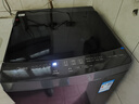 美的（Midea）【价保618】随心洗波轮洗衣机全自动 10公斤直驱变频 超净洗1.3洗净比 MB10V56DT 以旧换新 补贴 实拍图