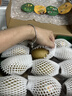 佳沛（zespri）新西兰 金果12粒特大果单果124-146g 端午节礼物水果礼盒 猕猴桃 实拍图