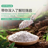 史丹利硬质珍珠岩颗粒蛭石土壤多肉兰花专用养花通用大保温营养土5L 实拍图