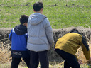 京东洗衣 洗衣服务 洗鞋服务 衣鞋任洗 上门取件 干洗水洗 洗衣服 刷鞋 网面/革面运动鞋/羽绒服等 衣鞋任洗5件 实拍图