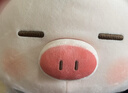 名创优品（MINISO）小猪B-BO锦鲤趴姿毛绒公仔玩具玩偶抱枕靠枕娃娃生日礼物女 实拍图