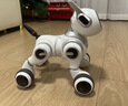 京东京造ai毛绒玩具儿童玩具智能对话AI陪伴机器人六一儿童节礼物辰星考拉 实拍图