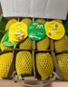 佳沛（zespri）新西兰  金奇异果6粒装 单果约88-103g 猕猴桃端午节礼物水果礼盒 实拍图