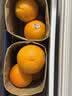 新奇士（Sunkist）澳大利亚蓝标早脐橙4粒 单果180g起 新鲜水果 实拍图