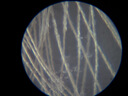 科学罐头（Science  can）六一儿童节礼物显微镜生日学生便携男女孩6-12岁益智玩具户外礼盒 实拍图