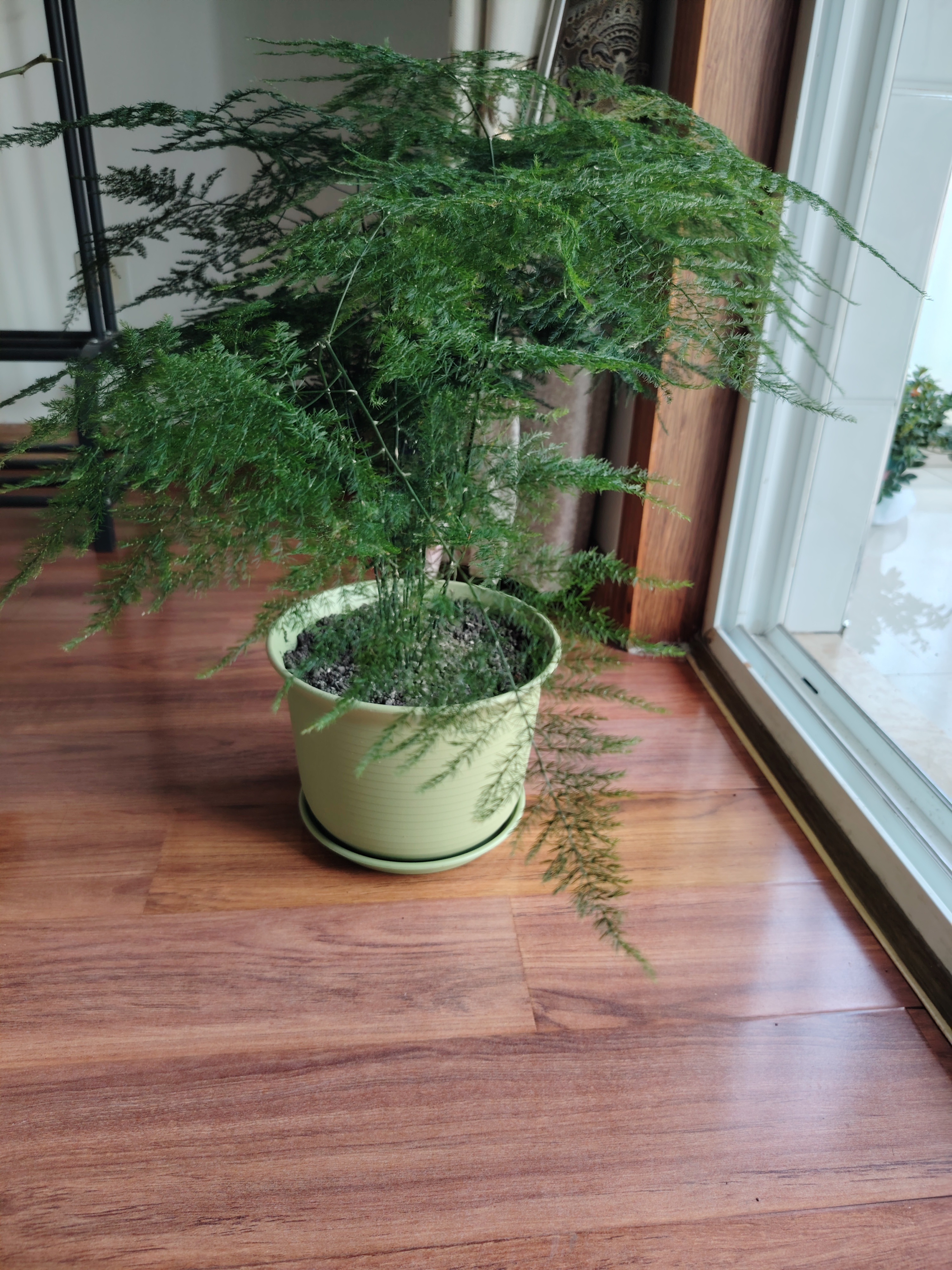 爱美花盆无异味树脂花盆仿陶瓷矮胖大号多肉加仑塑料透气花盆家用加厚耐用 185号苹果绿 1个装（送托盘） 实拍图