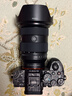 索尼（SONY）FE 24-70mm F2.8 GM II 全画幅标准变焦 G大师镜头(SEL2470GM2) 实拍图