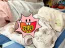 欧孕（OUYUN）婴儿睡袋投降式新生儿防惊跳包被春秋夏襁褓防踢被 小熊物语72x28 实拍图