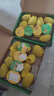 佳沛（zespri）新西兰金果10粒巨大果单果146-175g 端午节礼物水果礼盒 猕猴桃 实拍图