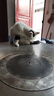 腆宠狗笼狗窝猫笼狗笼子中小型犬带厕所猫笼子大号家用室内狗围栏兔笼 实拍图