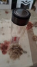 【京东物流配送】高硼硅双层玻璃杯大容量泡茶杯水杯子茶水分离杯 【双层加厚】茶杯350ml1只 实拍图