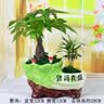 罗蒙【冰丝高弹+7A抗菌】防晒短袖POLO衫男士夏季t恤中年凉感翻领上衣 实拍图