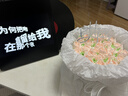 MORRORART M2桌面歌词音箱悬浮字幕黑胶唱片蓝牙音响家用客厅卧室音响智能家居生日礼物 实拍图