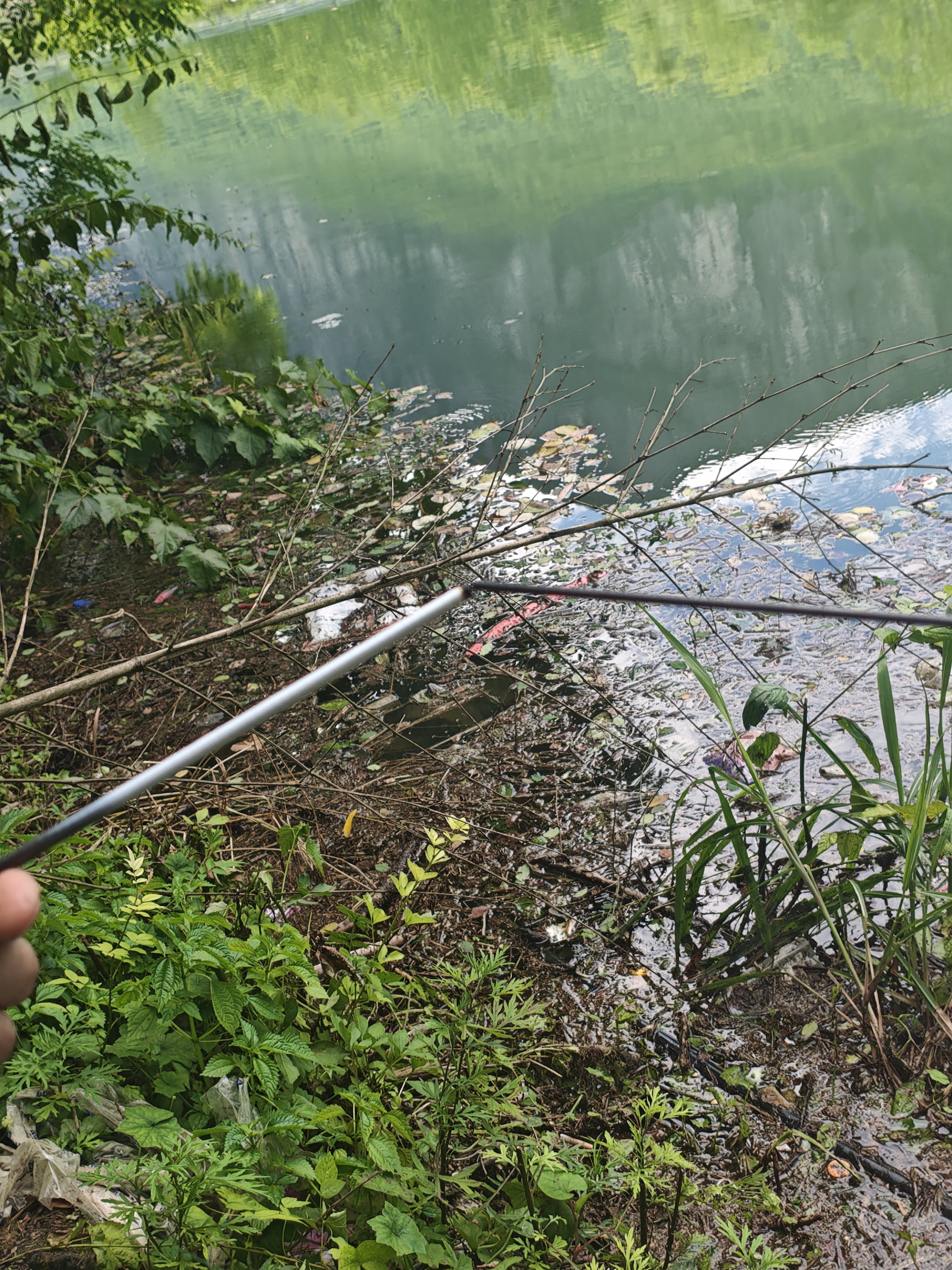 达亿瓦（DAIWA）一击 轻量鲤鱼鲫鱼草鱼罗非 进口鱼竿手杆 轻硬挺 休闲台钓 6.3m 一击F 63.K（综合） 不支持使用/试用后退换货 实拍图