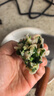 惠当家（Hui Dang Jia）电饼铛家用无涂层电煎锅多功能电热锅水煎包锅烙饼锅早餐机电煮锅304不锈钢锅HDJ-J09-36 实拍图