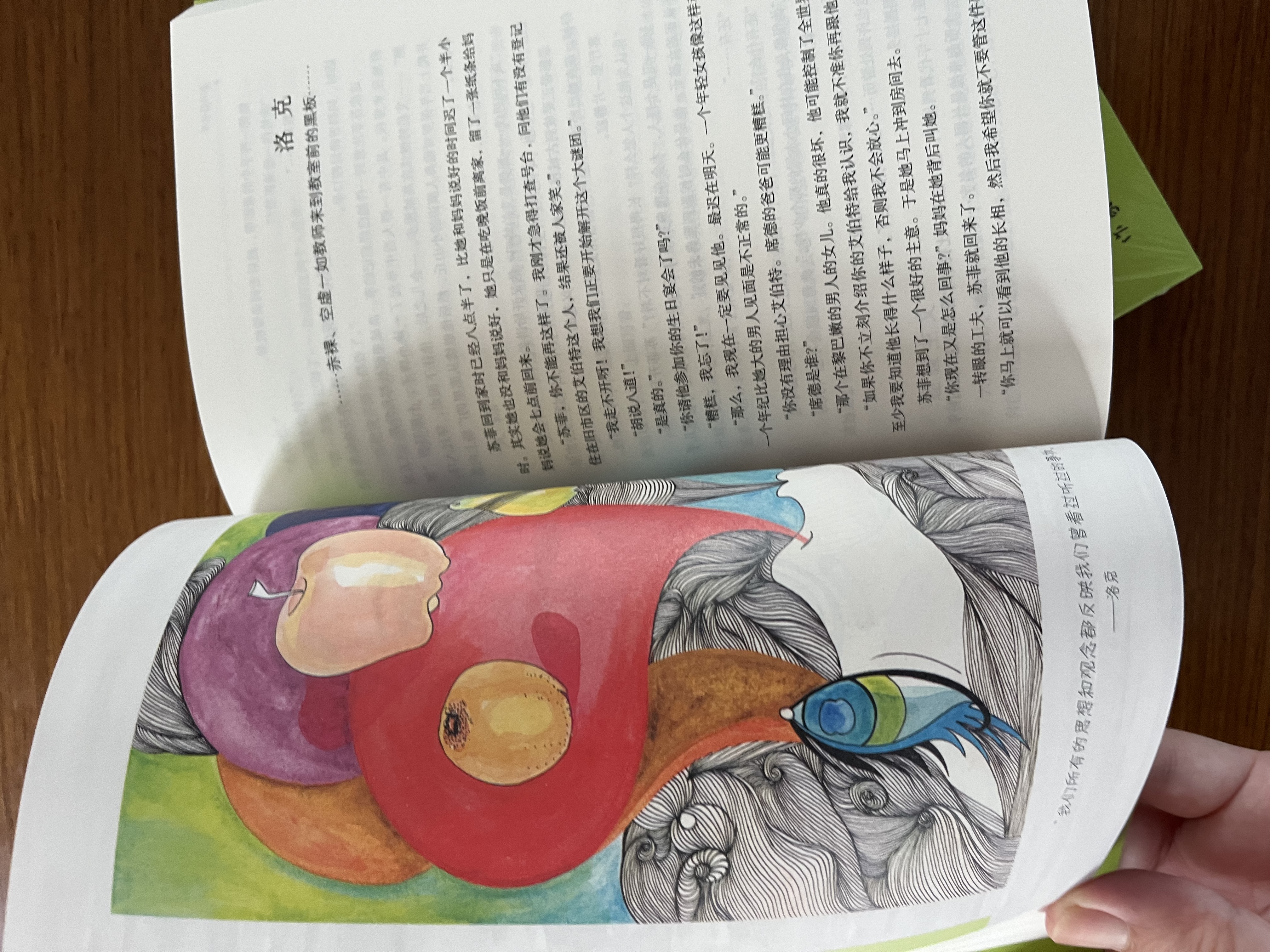 苏菲的世界插图本 新课标课外阅读 风靡世界的哲学启蒙入门 小说 实拍图