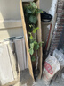尔澜包结果大苗巨峰葡萄树苗露天盆栽地栽葡萄苗果树苗木种植源头直发 实拍图