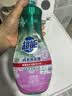 超能 内衣洗衣液 1.72斤(860g*1瓶) 内衣专用 长效抑菌 内衣内裤洗 实拍图