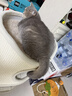 兽牌树洞剑麻桶猫窝猫抓板一体剑麻猫爬架双层大猫屋半封闭式冬季保暖 燕麦奶白丨三层剑麻桶 实拍图