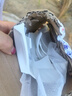 高颜值家用银杏时光米饭碗大面碗陶瓷餐具家用新骨瓷陶瓷碗 银杏时光 5英寸一个碗活动 实拍图