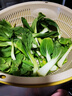 【东东买菜】四季小青菜自种大棚小油菜现摘超市涮火锅时令蔬菜 河南小青菜2斤装净重 实拍图
