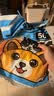 宠百思宠物狗狗尿垫尿片猫咪兔子吸尿隔尿垫巾吸水吸尿纸尿布护理垫 25*30cm(50片，两侧封边)*2包 实拍图