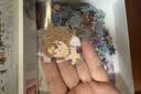 VINLAA名侦探柯南怪盗基德拼图1000片玩具女孩成人益智拼装手工解压玩具 实拍图