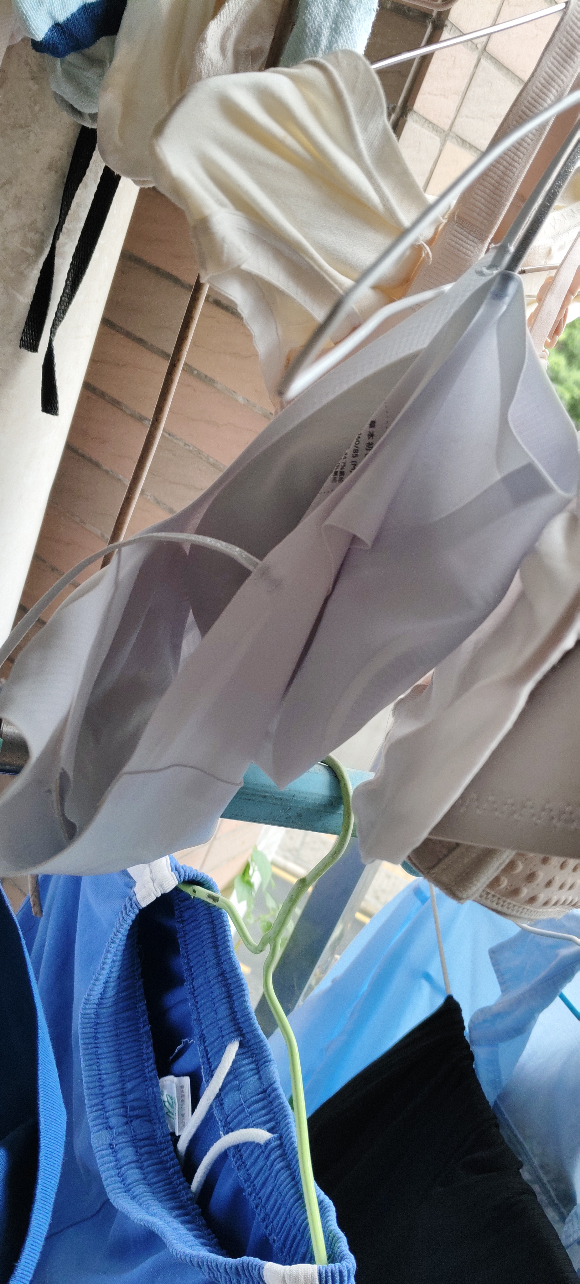草本初色内衣女小胸聚拢无钢圈凉感无痕软支撑透气美背山茶花香氛文胸罩 实拍图
