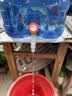 拜杰水桶手提式纯净水桶矿泉水桶饮水桶带龙头大容量自驾游户外储水桶 户外食品级pc材质【20升+水管】 实拍图