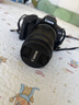 佳能（Canon）RF-S 55-210mm F5-7.1 IS STM 半画幅微单变焦镜头 长焦防抖中远摄 RF-S 55-210mm 【晒单送赠品】 实拍图