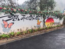 美菱（MeiLing）电风扇/风扇轻音节能落地扇家/商用办公室工业风扇铝叶摇头大风量电扇MPF-DL16616 实拍图
