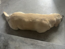 麦富迪狗粮 藻趣儿狗粮成犬粮牛肉螺旋藻 均衡营养15kg/30斤 实拍图
