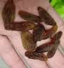 徽天赐红香妃葡萄干500g新货无核无籽提子干新疆特产免洗即食果脯食品 特级红提葡萄干【100g】精选大果 实拍图