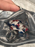 水卫士洗碗机洗碗凝珠闪电珠26颗 洗碗机洗涤清洁剂洗碗粉洗碗块312g 实拍图