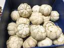 迪小尔香港品牌烘干机食品零食水果蔬菜肉类风干机宠物食物家用商用果干机大小型五谷鱼肉芒果地瓜牛肉干 8层触屏+灯光425瓦（烘6斤左右） 实拍图