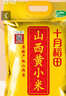 十月稻田 山西黄小米5斤 25年新米 小米黄小米 小米杂粮 早餐 粥 节日送礼 实拍图