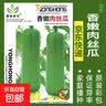 春蝶蔬菜种子四季播盆栽阳台庭院黄瓜豆角番茄甜瓜易种籽孑大全 长绿苦瓜【1包约10粒】 一包(试种贵在快递费) 实拍图