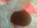 麦富迪狗粮 藻趣儿狗粮幼犬粮牛肉螺旋藻 呵护肠胃2.5kg 实拍图