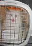licheers宠物航空箱猫咪狗狗航空箱猫笼外出便携航空运输猫包大号 实拍图