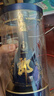 郎酒 青花郎 酱香型白酒 53度 500mL*1瓶 单瓶装 （年份包装随机） 实拍图