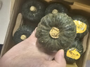 世喜婴儿牙刷0-1岁乳牙口腔舌苔清洁器早早刷2支婴幼儿软硅胶刷毛套装 实拍图