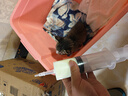 薛湖 医用流食助推器鼻饲喂食器针管针筒注射器灌肠器200ml一支装 实拍图
