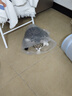 纽曼（Newmine）XL02 typec有线降噪隔音睡眠线控音乐手机数字耳机入耳式type-c版侧睡不压耳耳塞安卓适配 黑色 实拍图