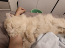 全友家居 茶几电视柜组合套装现代简约风家具家用客厅收纳储物柜子 实拍图